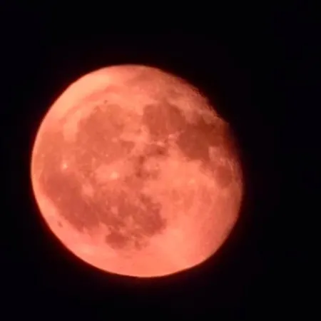 Διαμέρισμα The Pearl Of The Black Sea Năvodari