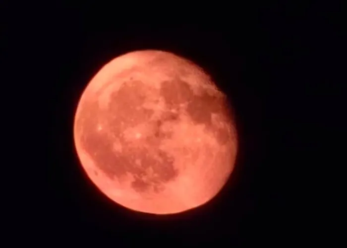 Apartament The Pearl Of The Black Sea Năvodari